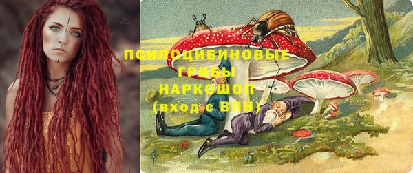 прущая мука Алзамай