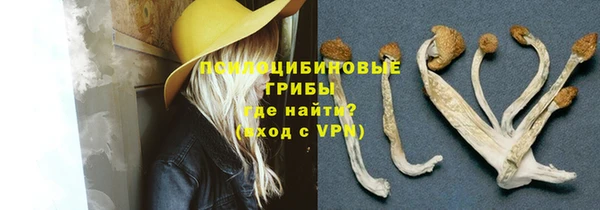 PSILOCYBIN Алексин