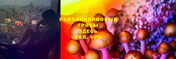 PSILOCYBIN Алексин